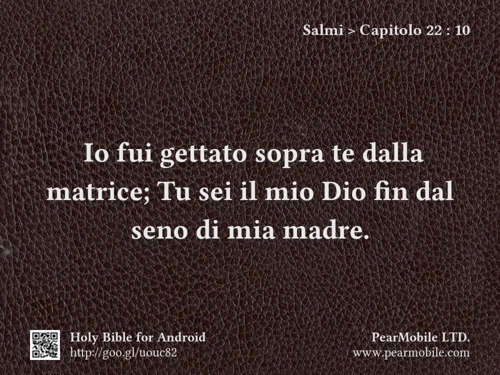 Salmi, Capitolo 22:10